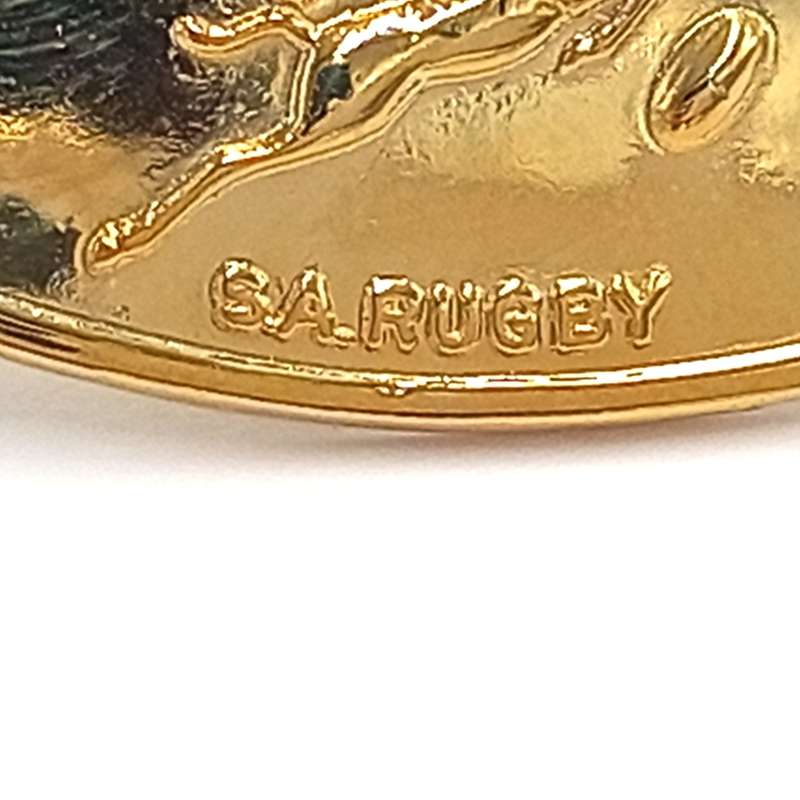 SA Rugby Springboks lapel pin badge