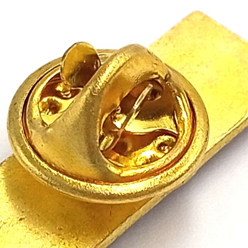 LIONS Rugby pin badge