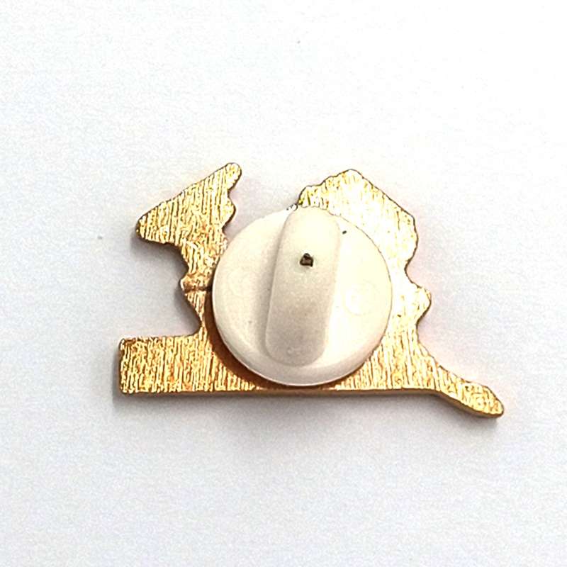 SA Rugby Springboks lapel pin badge