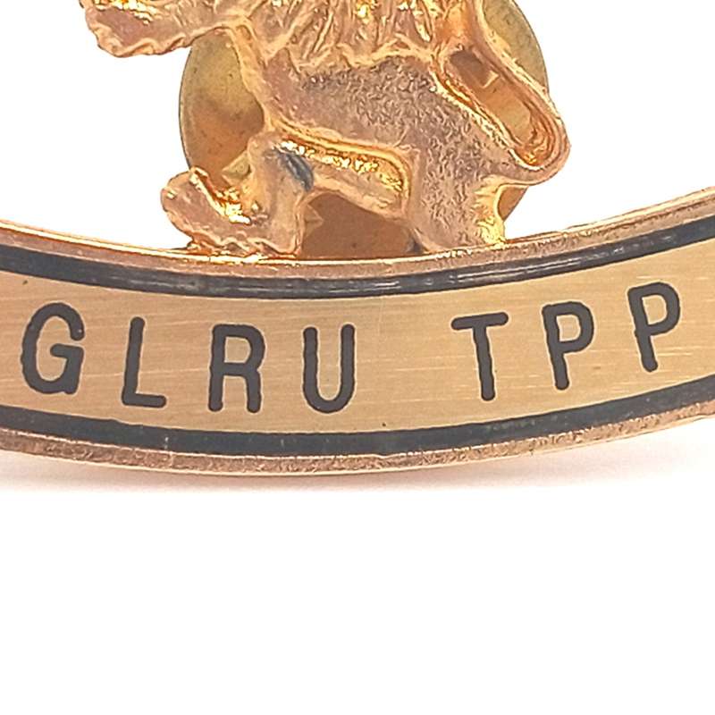 Golden Lions Rugby Union TPP lapel pin badge