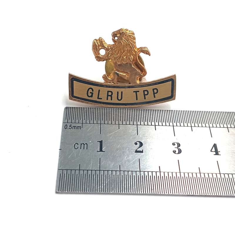 Golden Lions Rugby Union TPP lapel pin badge