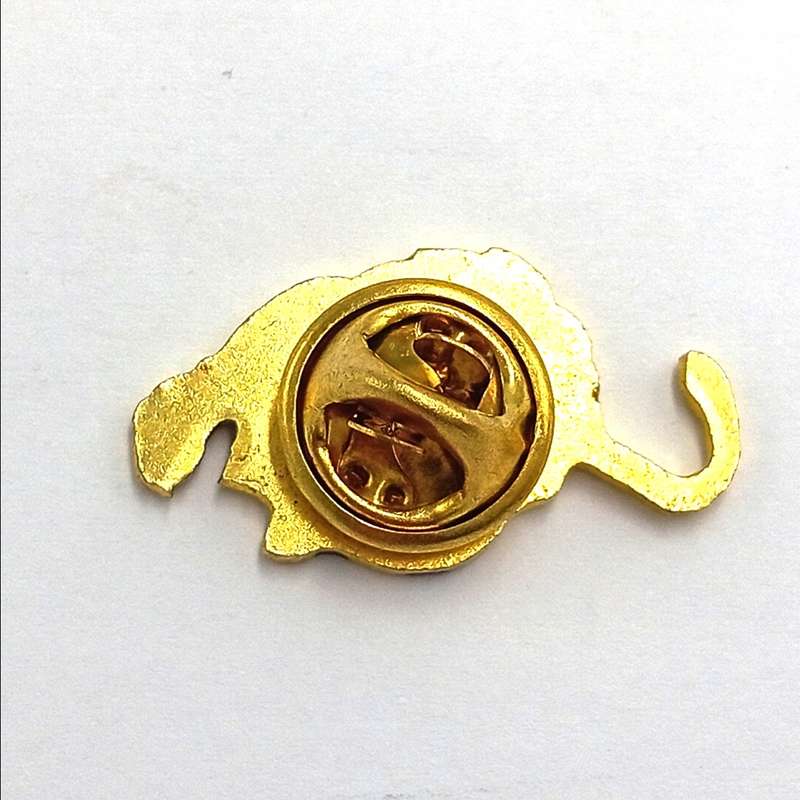LIONS Rugby pin badge