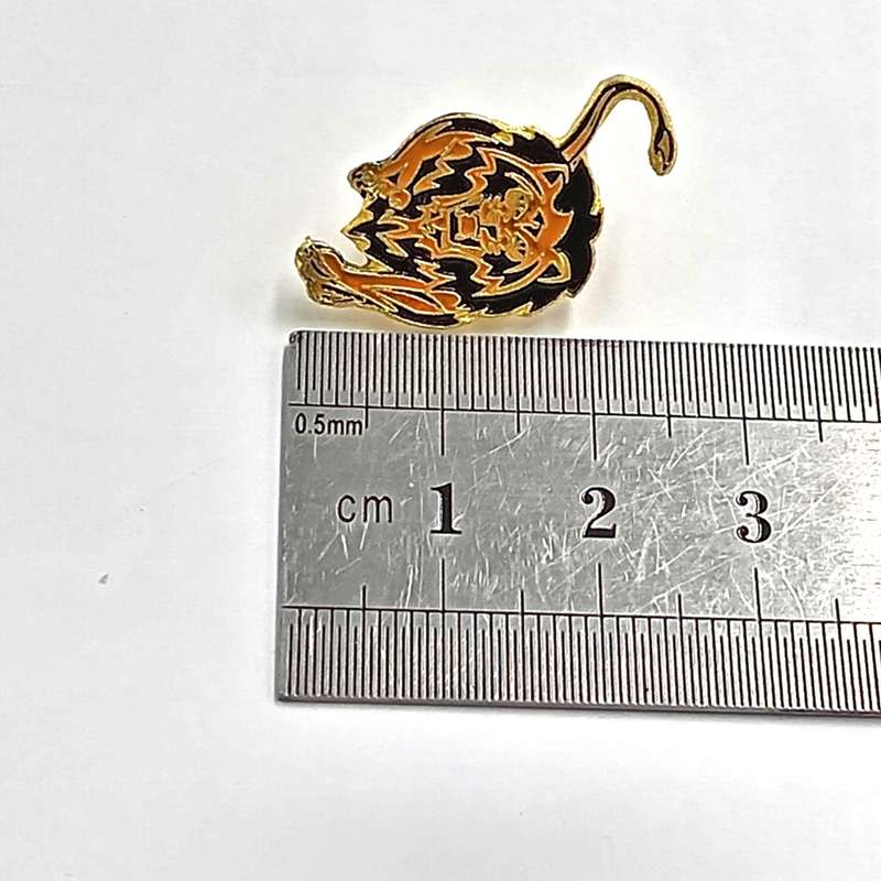 LIONS Rugby pin badge