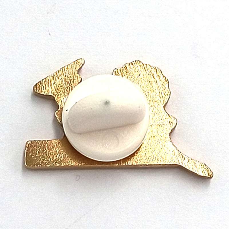 SA Rugby Springboks lapel pin badge