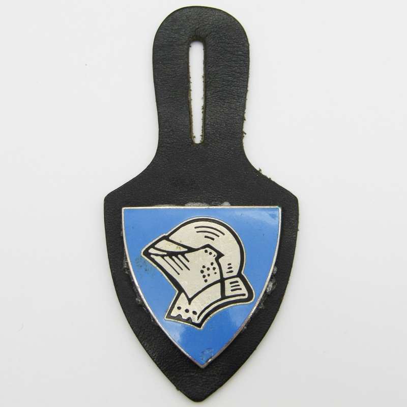 German 223 Panzer Grenadier battalion fob flash badge