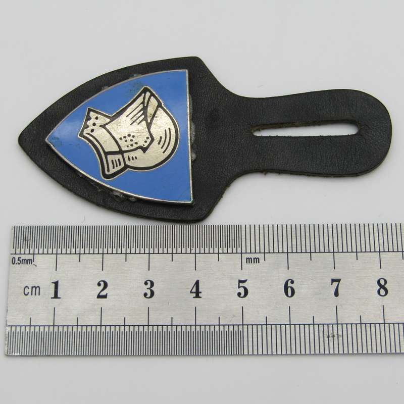 German 223 Panzer Grenadier battalion fob flash badge