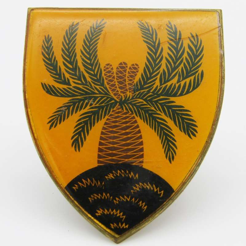 SADF 4 SA Infantry shoulder flash