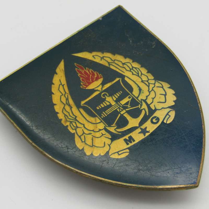 SADF Military Gymnasium shoulder flash