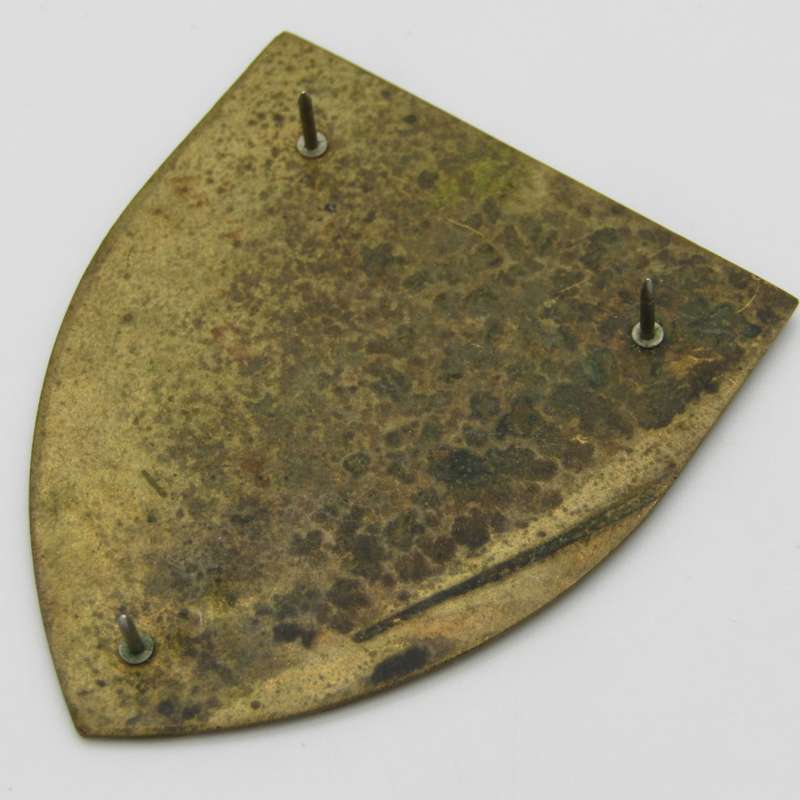 SADF Military Gymnasium shoulder flash