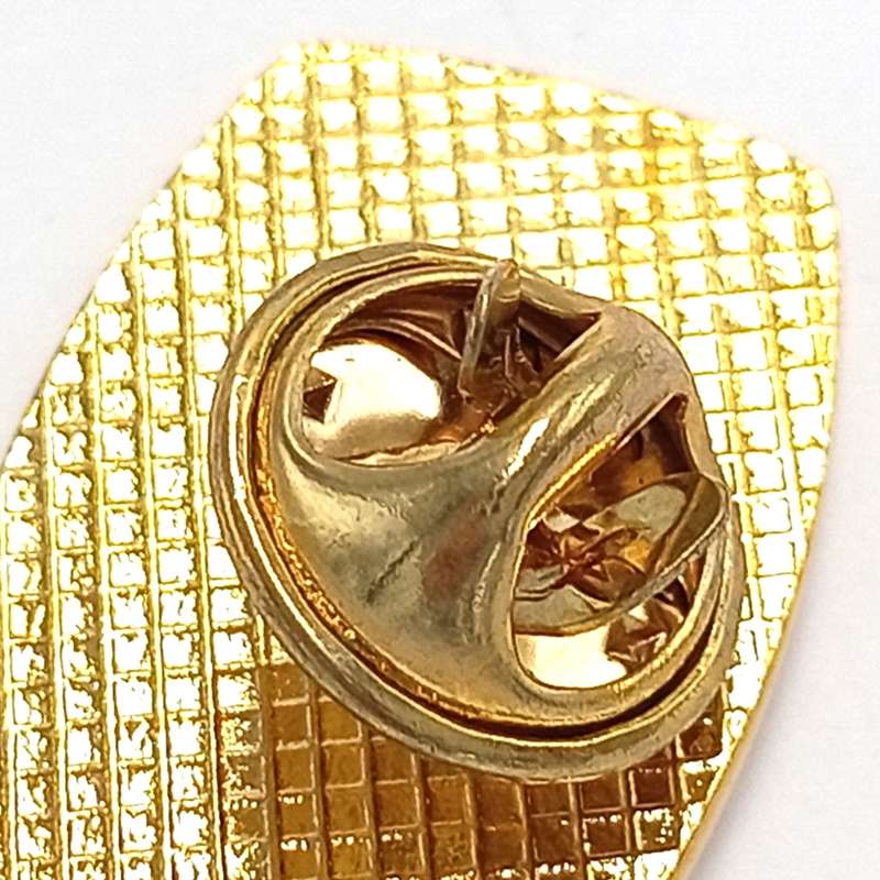 SA Rugby Springboks lapel pin badge