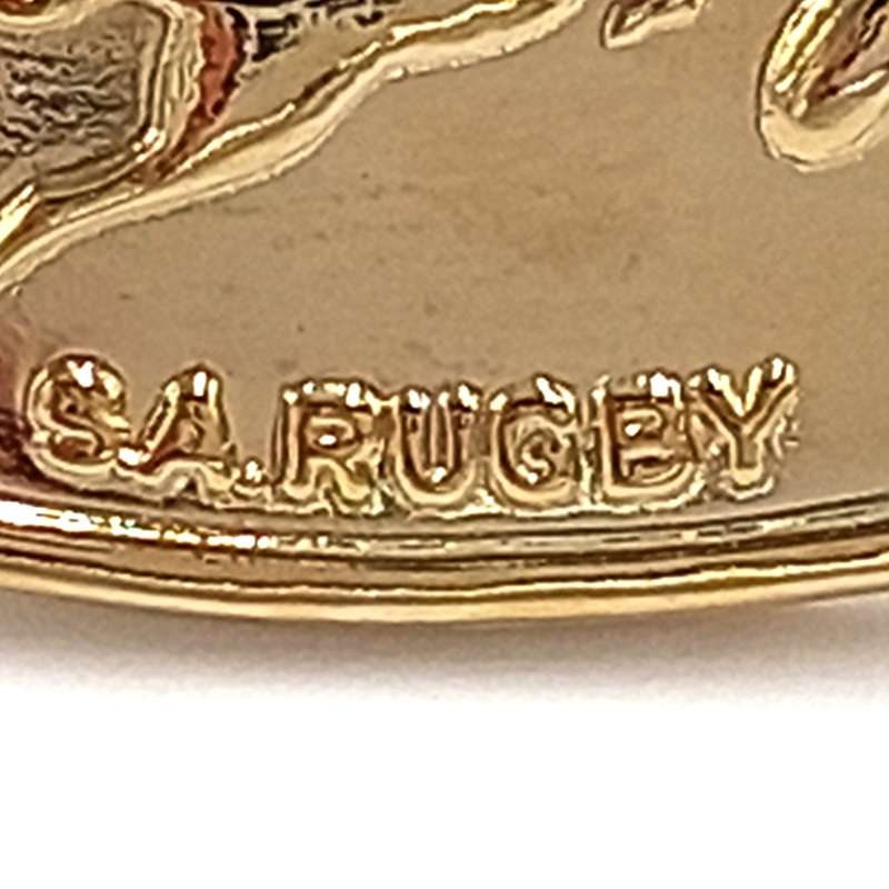 SA Rugby Springboks lapel pin badge