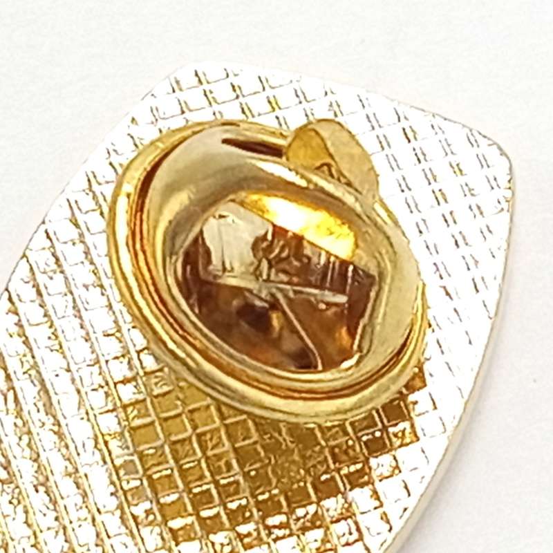 SA Rugby Springboks lapel pin badge