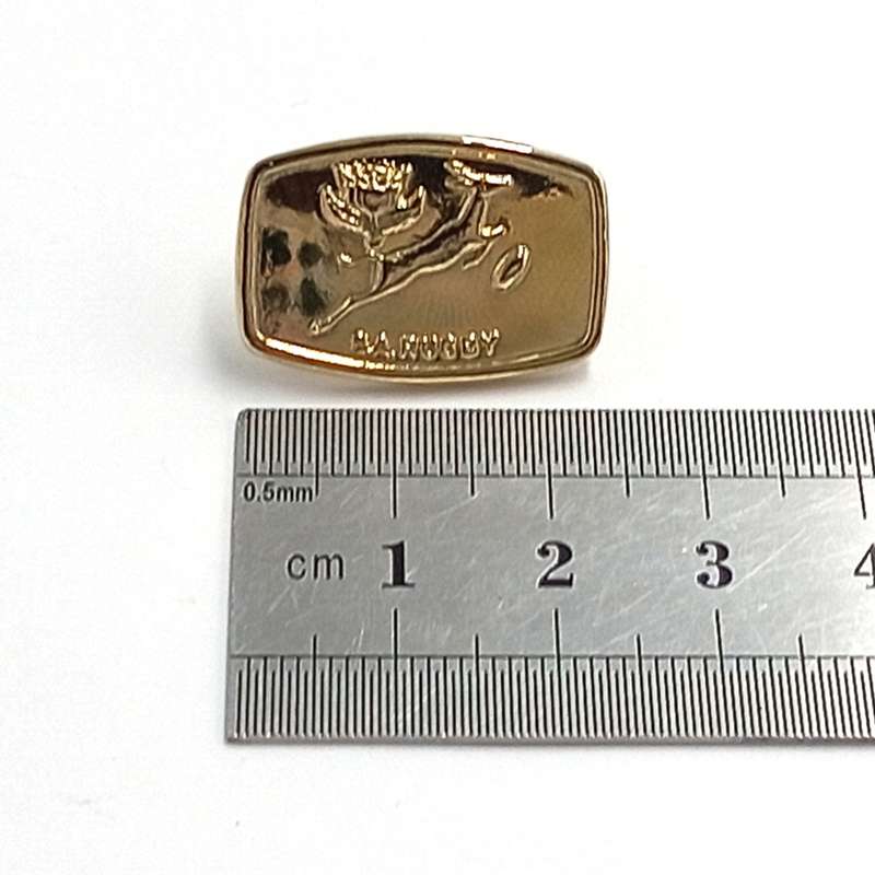 SA Rugby Springboks lapel pin badge