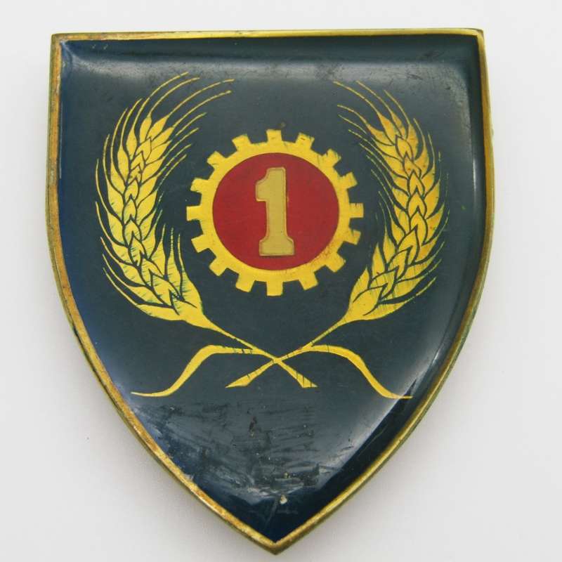 Pair of 1 Maintenance unit shoulder flashes