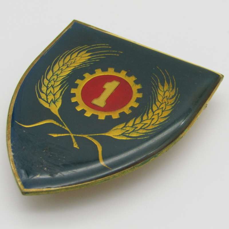Pair of 1 Maintenance unit shoulder flashes