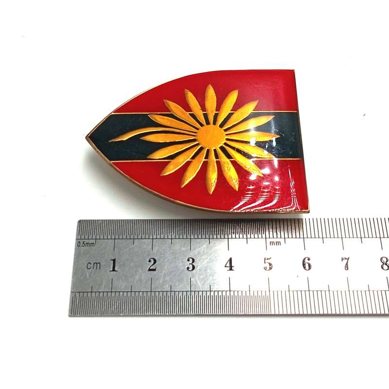 SADF Northern Transvaal Provost unit shoulder flash