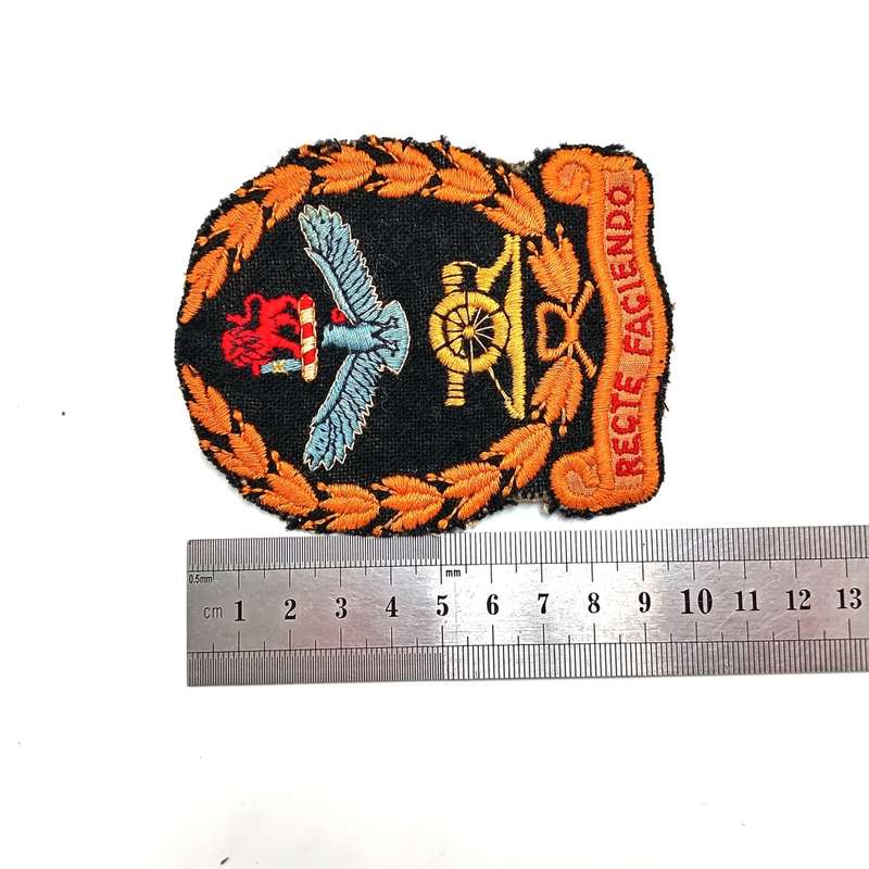 SA Army Permanent Force cloth badge - rare