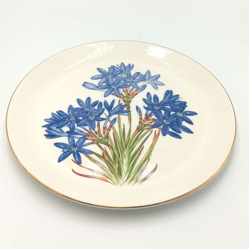 Beautiful Dowson and Dobson flower porcelain plate