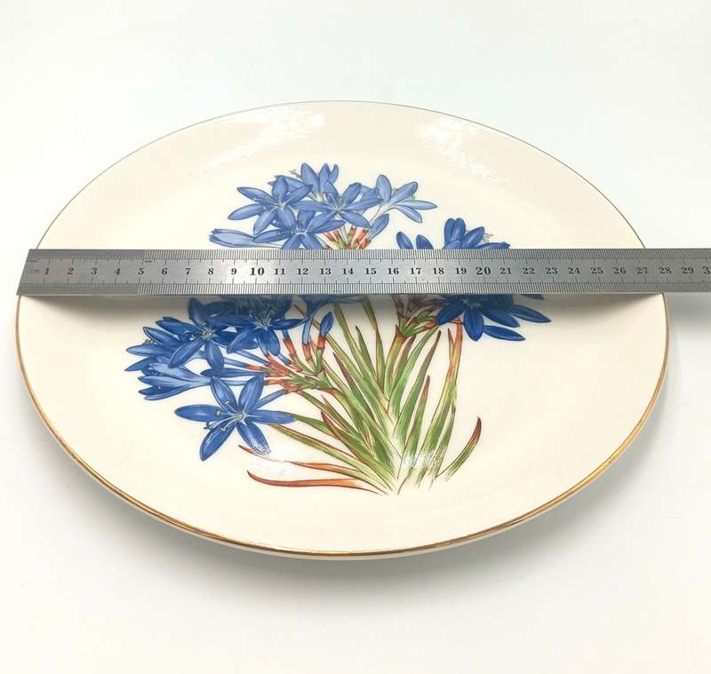 Beautiful Dowson and Dobson flower porcelain plate