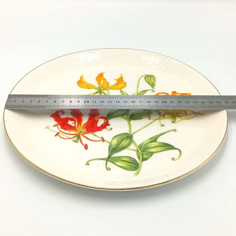 Beautiful Dowson and Dobson flower porcelain plate