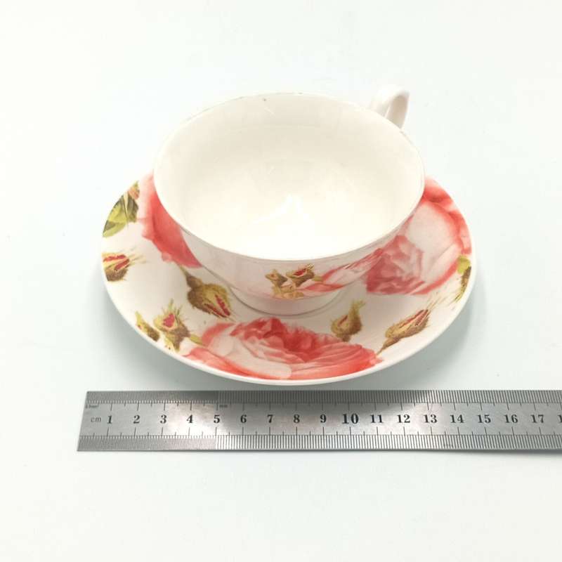 Beautiful porcelain flower pattern cup and saucer