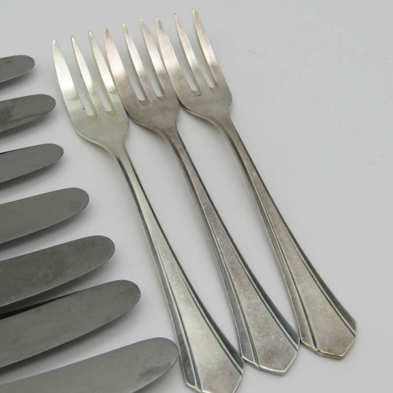 Top quality German Homag cutlery set