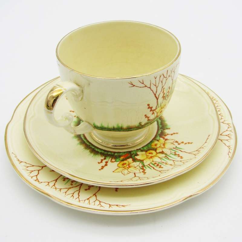 Crown Devon Springwood porcelain trio
