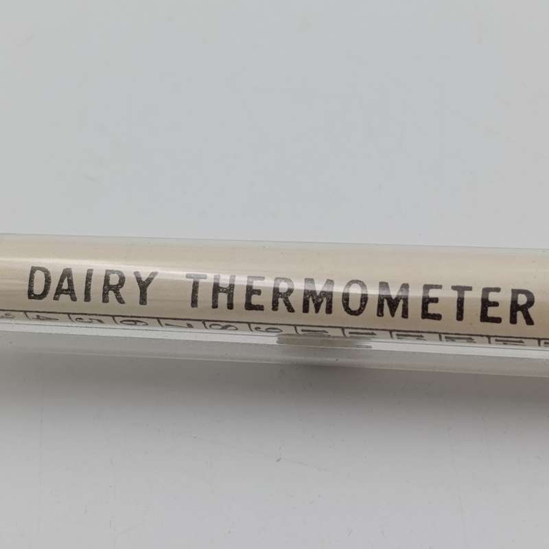 Vintage British made Diary thermometer in case