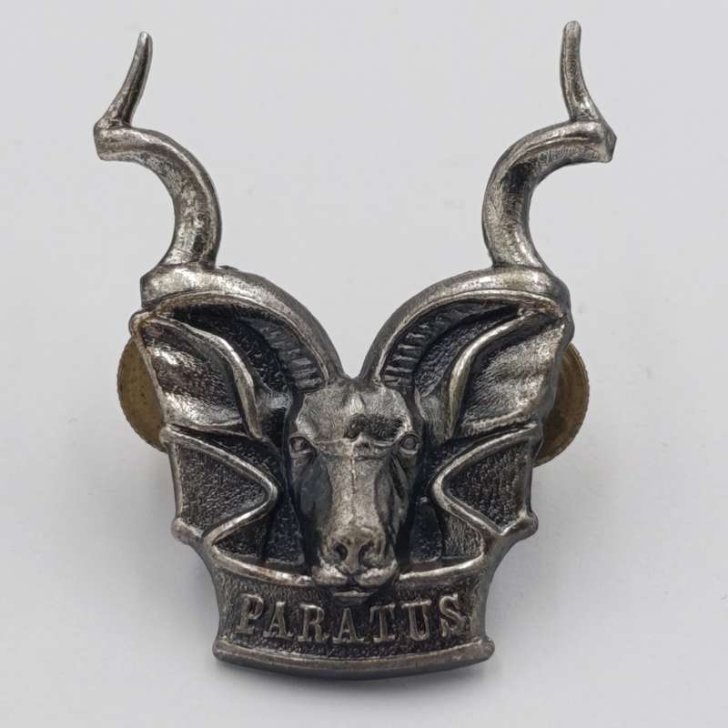 SWATF Area Force cap badge