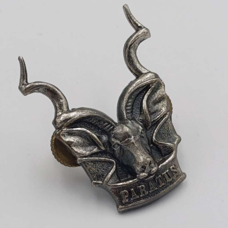SWATF Area Force cap badge