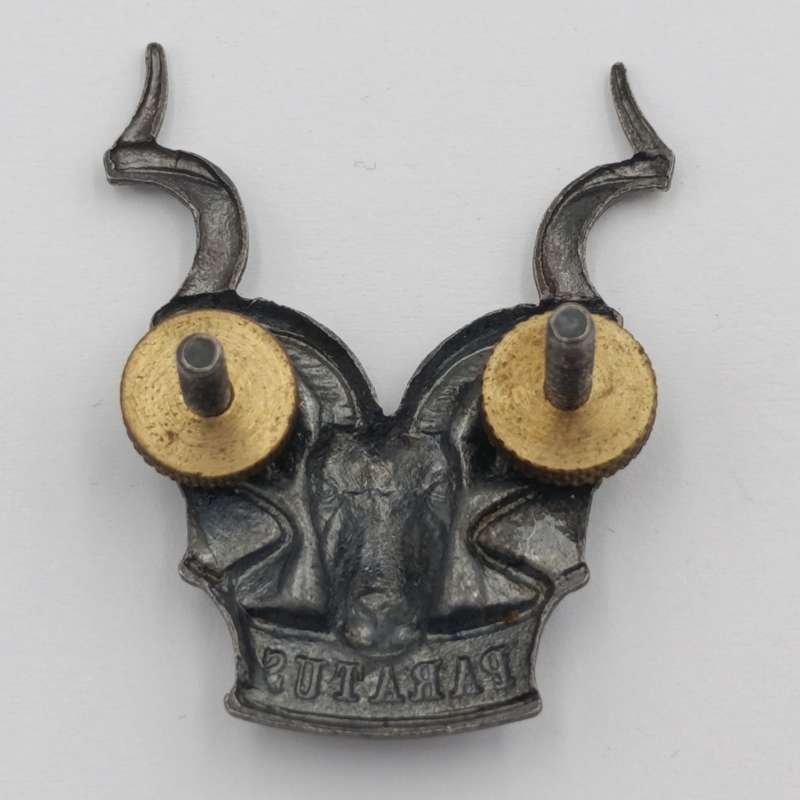 SWATF Area Force cap badge