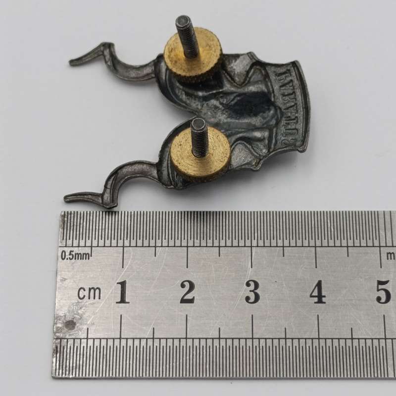 SWATF Area Force cap badge