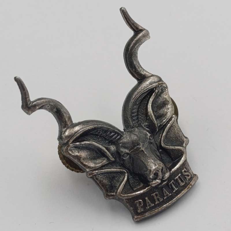 SWATF Area Force cap badge