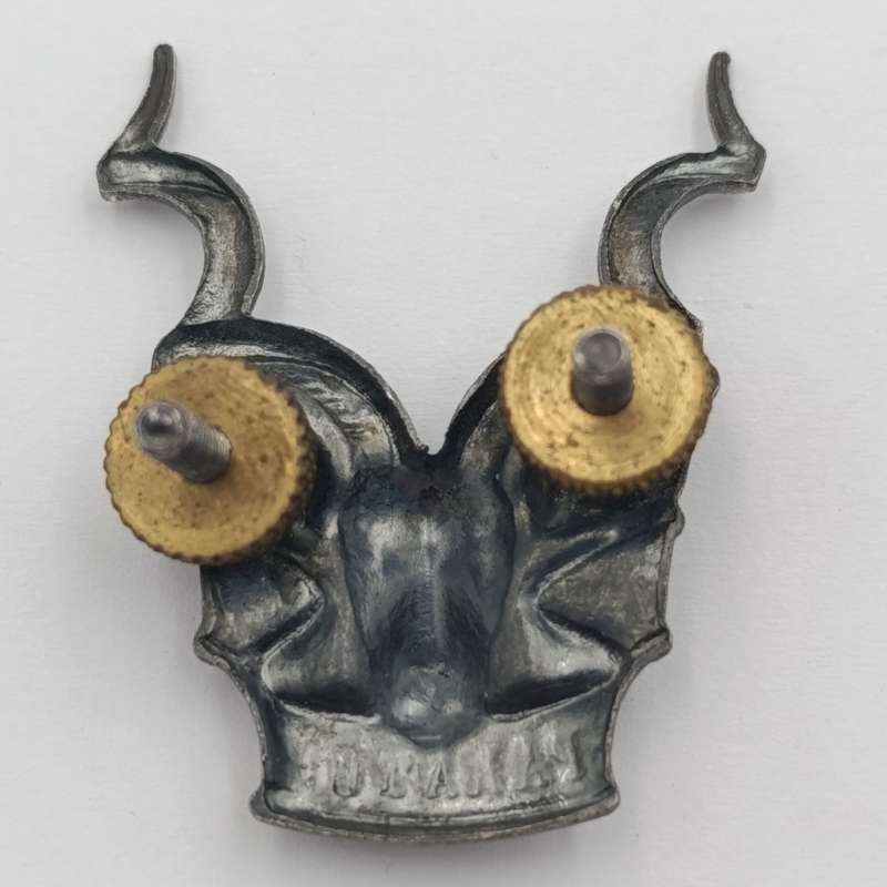SWATF Area Force cap badge