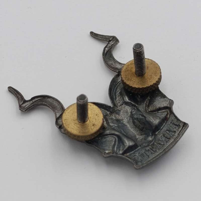 SWATF Area Force cap badge