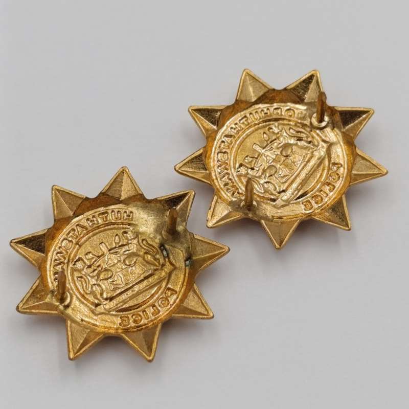 Pair of Bophuthutswana Police collar badges
