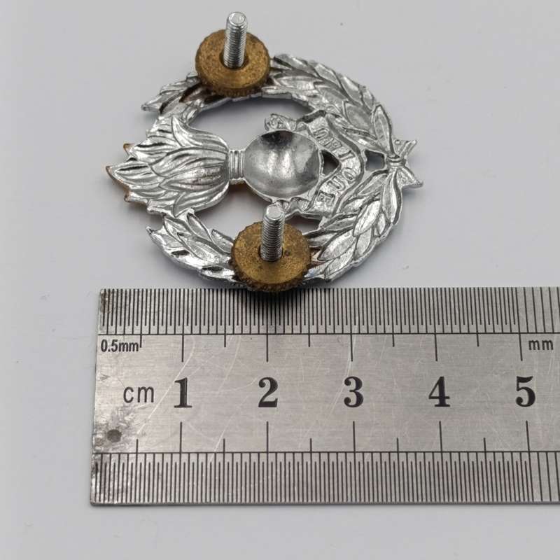 SADF Engineers Corps cap badge