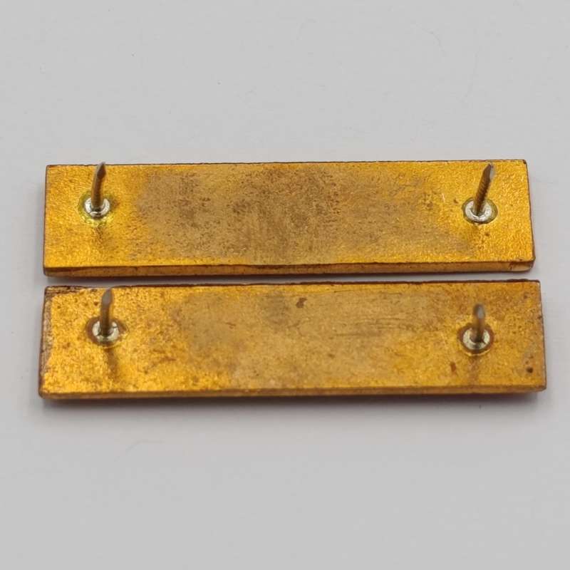 Pair of Bophuthutswana Police breast badges (one Tshana and one English)