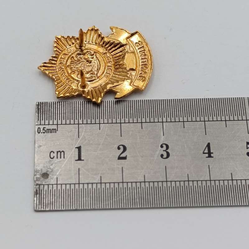 Pair of Kangwane Police collar badges