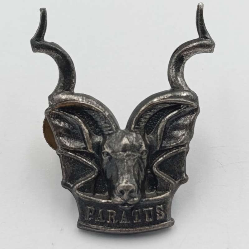 SWATF Area Force cap badge