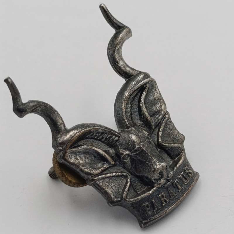 SWATF Area Force cap badge
