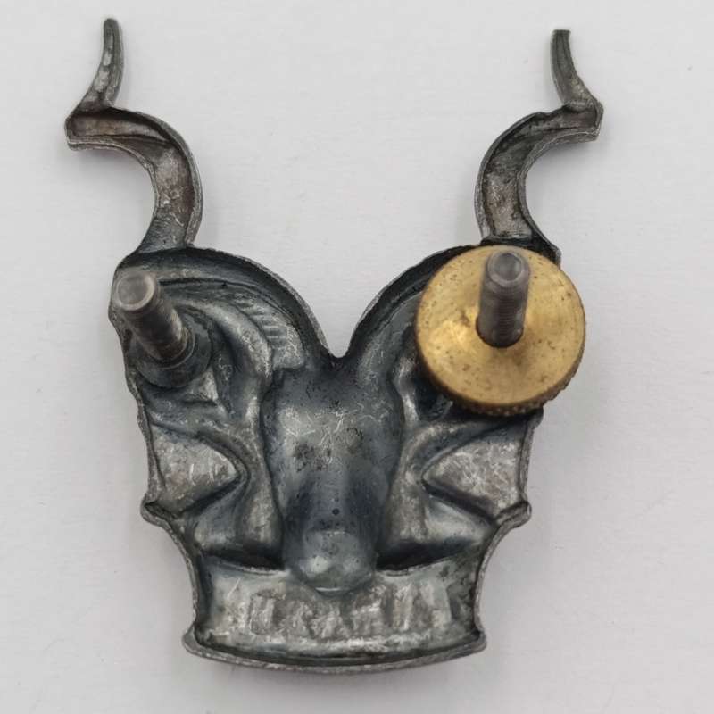 SWATF Area Force cap badge