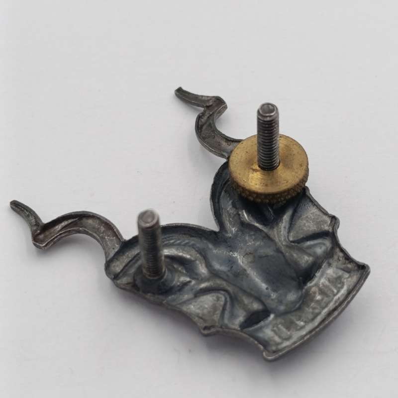 SWATF Area Force cap badge