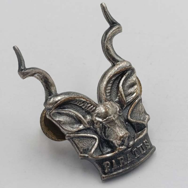 SWATF Area Force cap badge