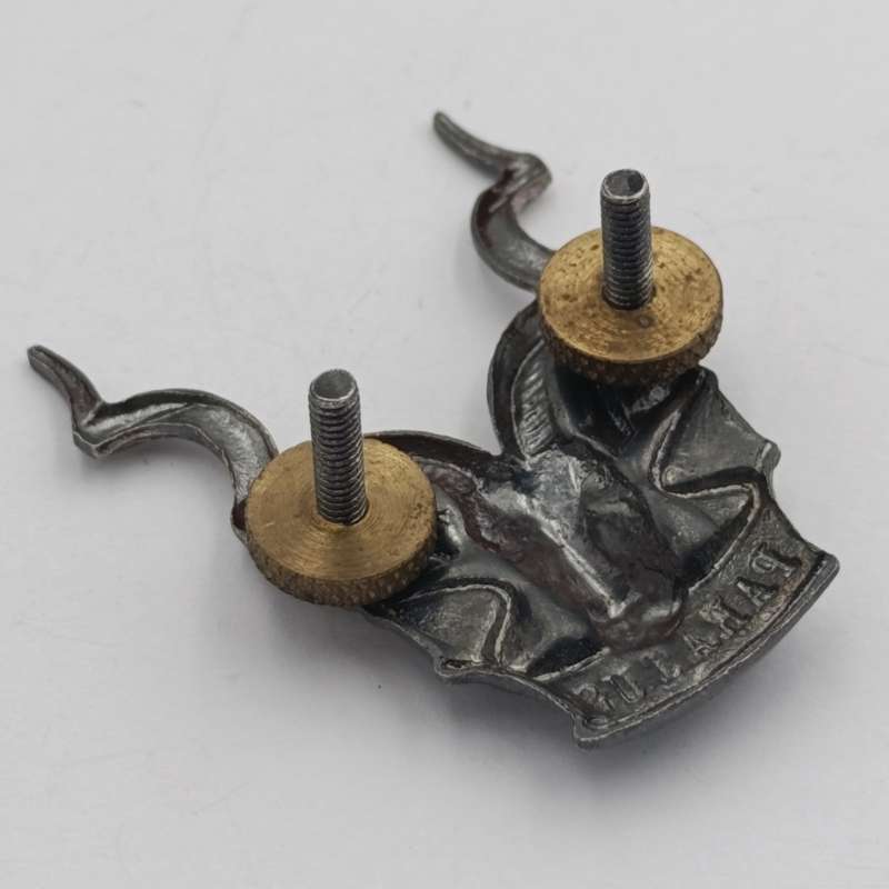 SWATF Area Force cap badge