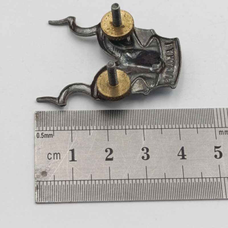 SWATF Area Force cap badge