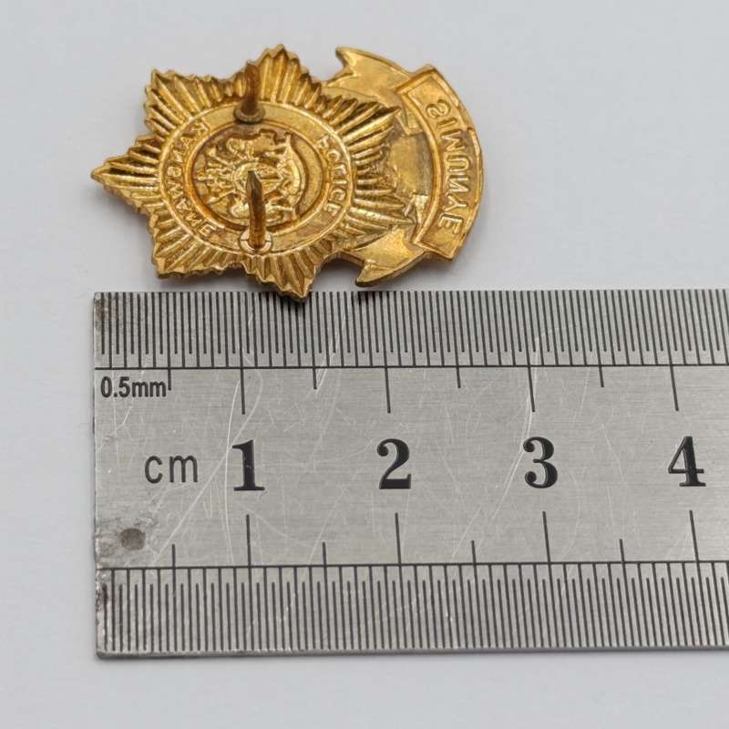 Pair of Kangwane Police collar badges