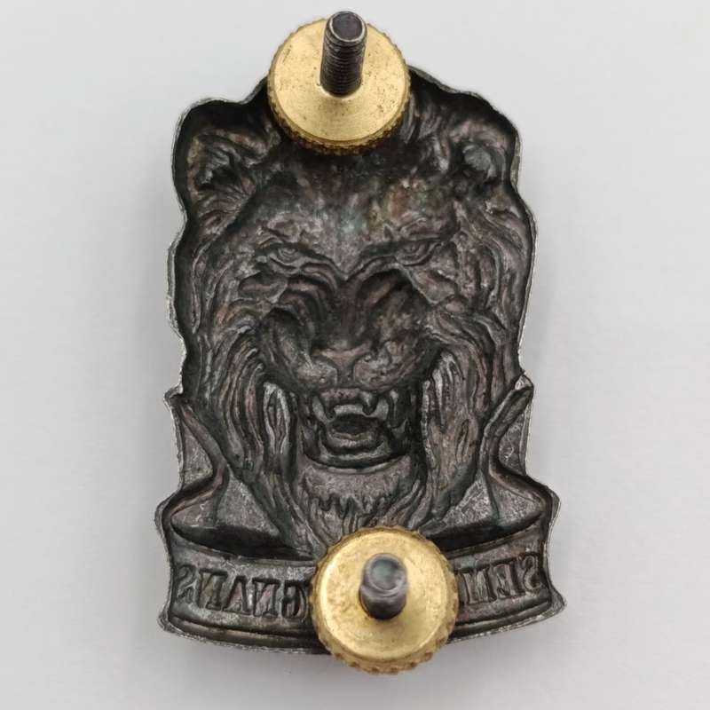 SWATF Reaction Force cap badge