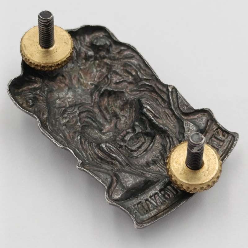 SWATF Reaction Force cap badge