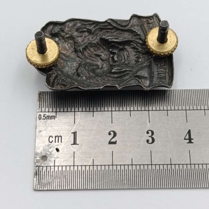 SWATF Reaction Force cap badge